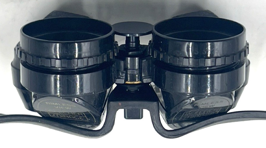 Echenbach Beecher Mirage Rimless View Binoculars Glasses 5.5 x 25 Wi (EL1127891)