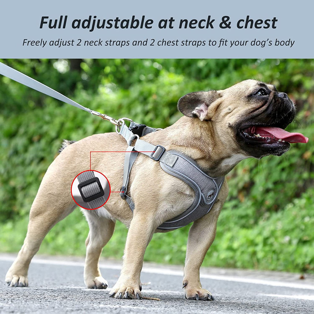 Dog Harness Set, No Pull Adjustable Step-in Collar for Dogs (M, Gray)