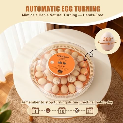 Incubators for Hatching Eggs, Egg Incubator with Automatic Egg Turning and Humid