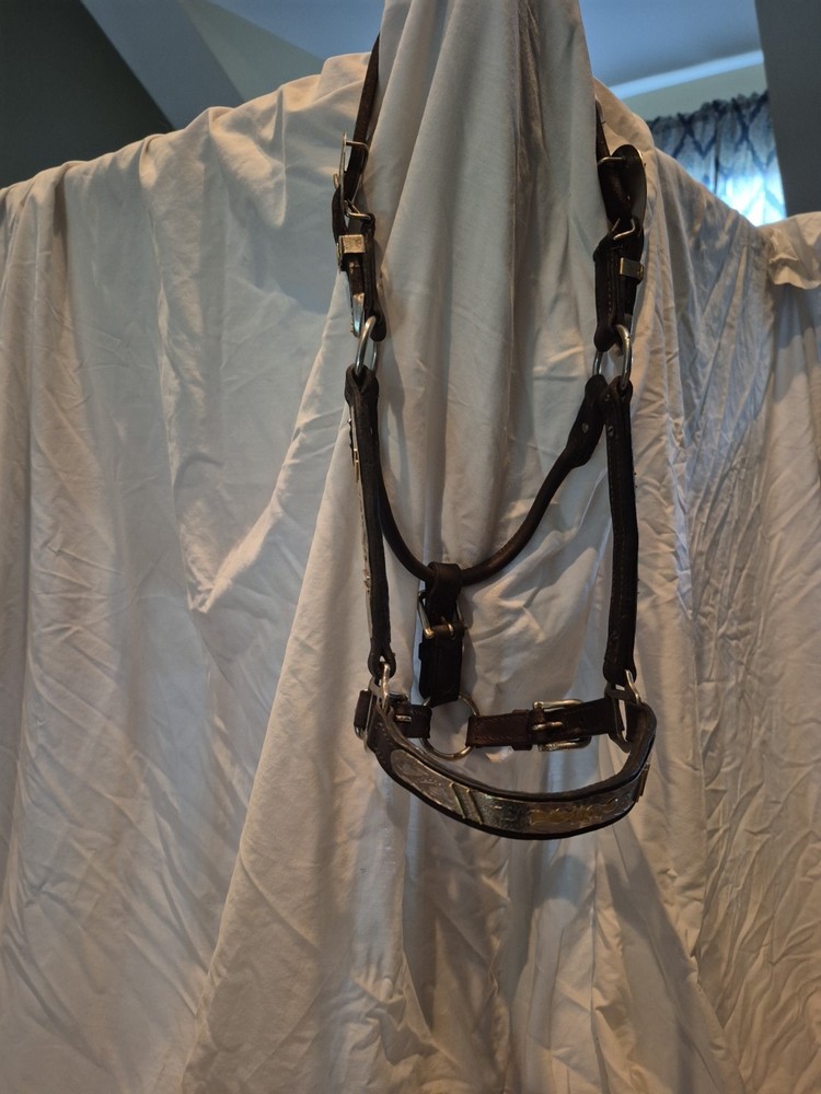 Western Full Size Show Halter