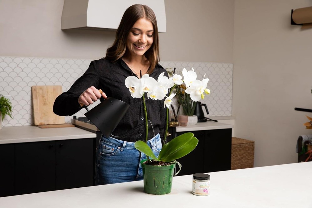UV Protected Slotted Orchid Pots - 8 Pack