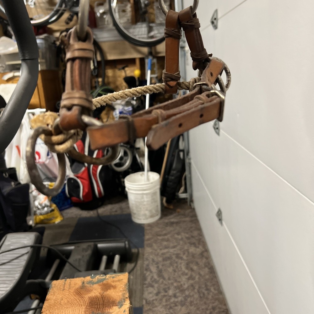 Tory Leather Harness Double Nose Side Pull