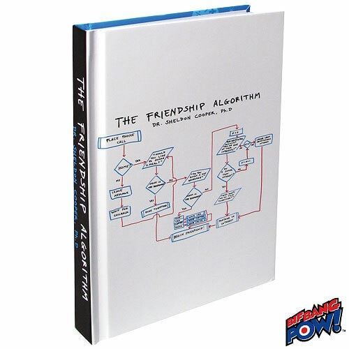 The Big Bang Theory Friendship Algorithm Journal