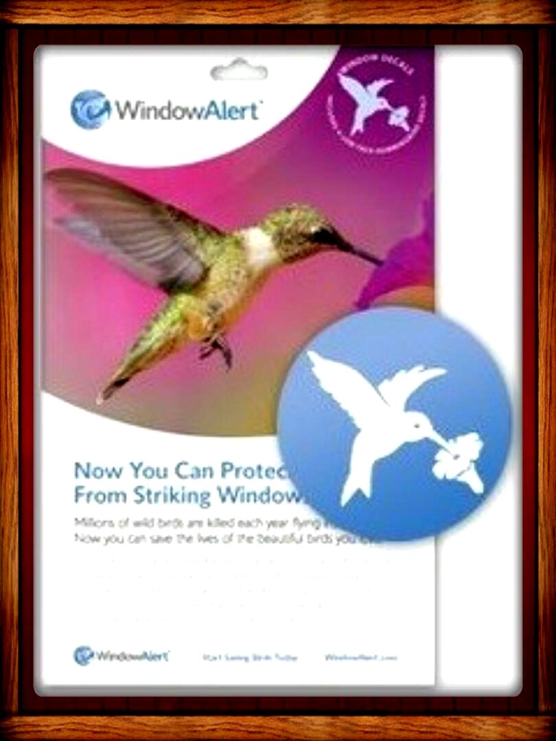 WINDOW ALERT ANTI-COLLISION CLINGS DECALS PREVENT WINDOW STRIKES SAVE BIRDS