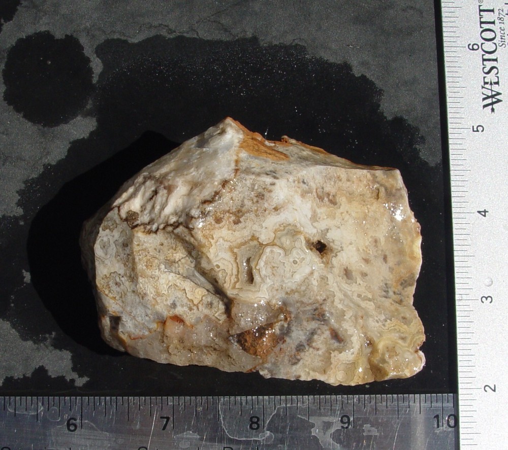 Lace Agate Small Lapidary Rough 1315