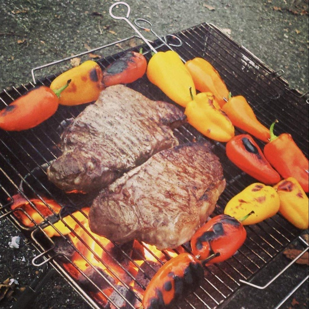 Quick Grill Medium: Original Folding Charcoal BBQ Grill Made from Stainless S...
