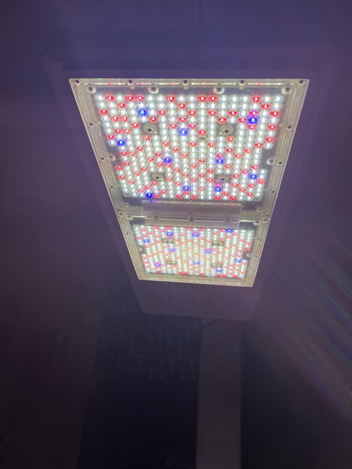CT 1930e | Gavita® LED Grow Light | 780 Watts | 120–277V