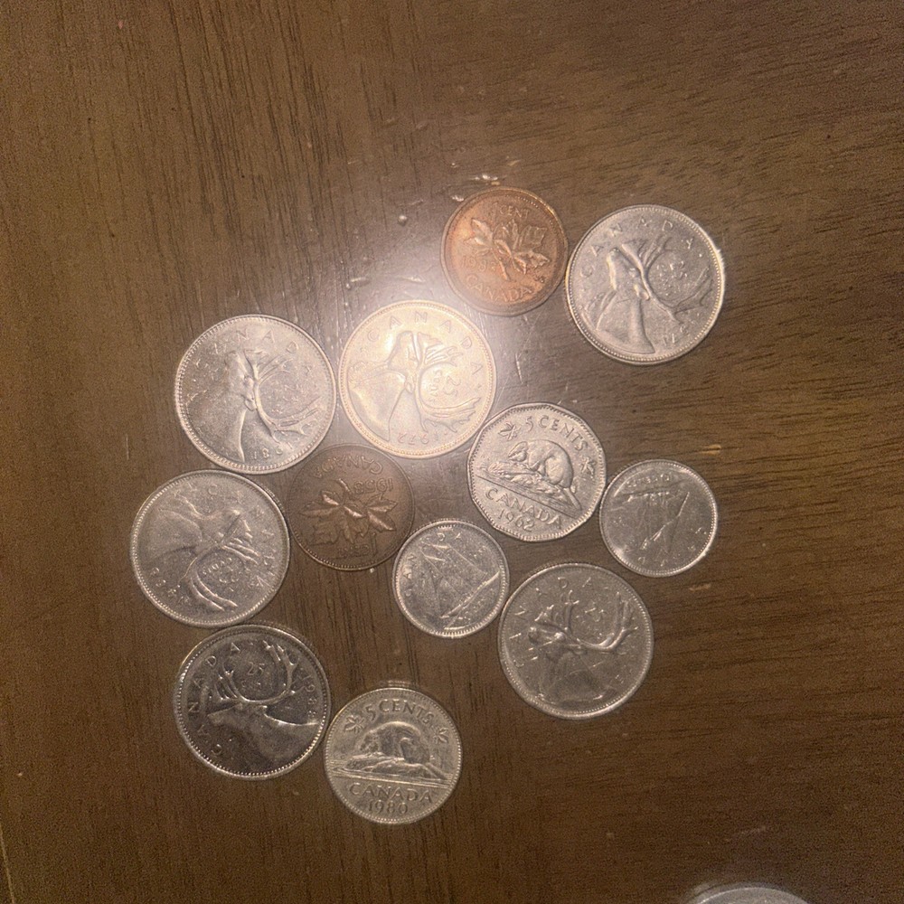 Foreign Coin Lot Mixed Coins Different Years and Multiple Countries