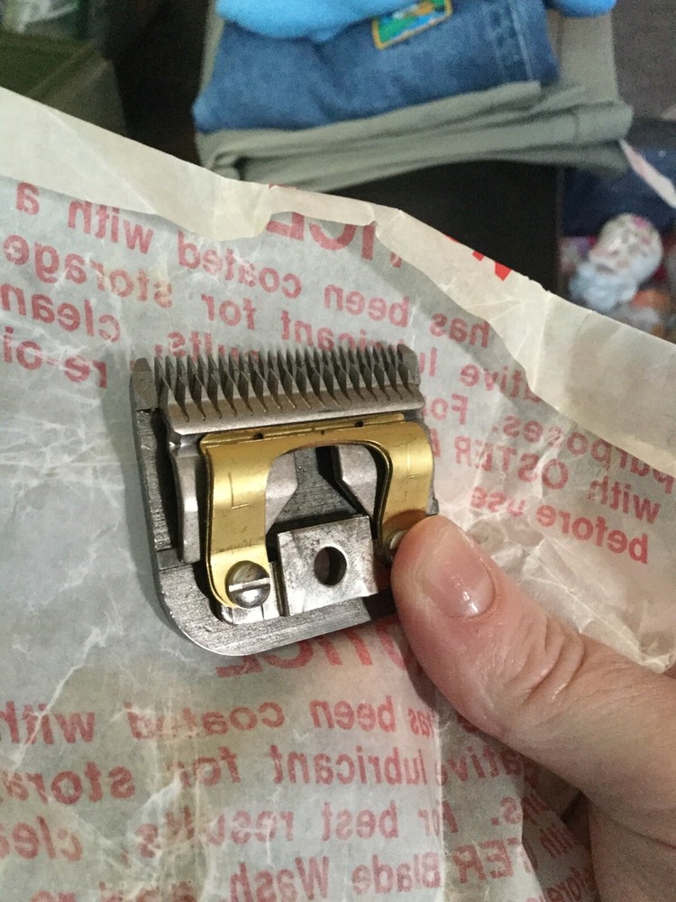 Oster Professional Blade 10 L