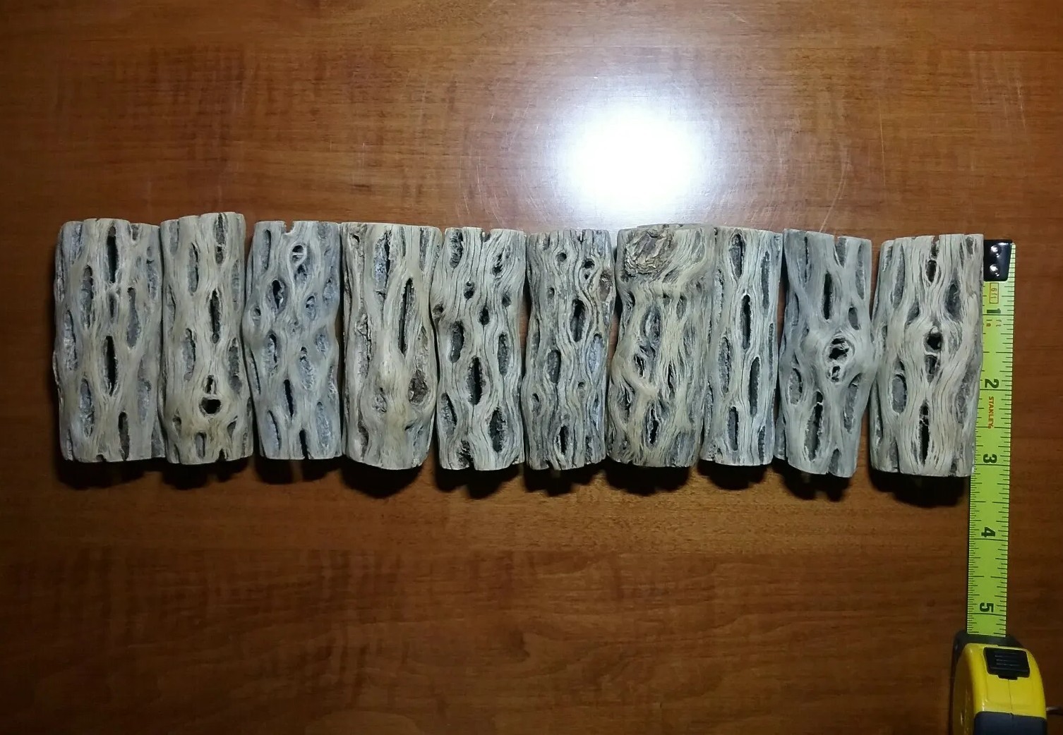 20 pieces CHOLLA Wood 3" L (~1" thick) | CLEANED! | Shrimp Aquarium, Air Plant