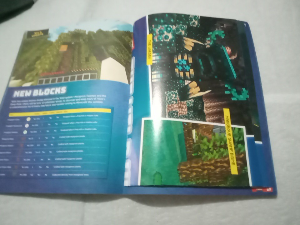 Minecraft Essential Guide