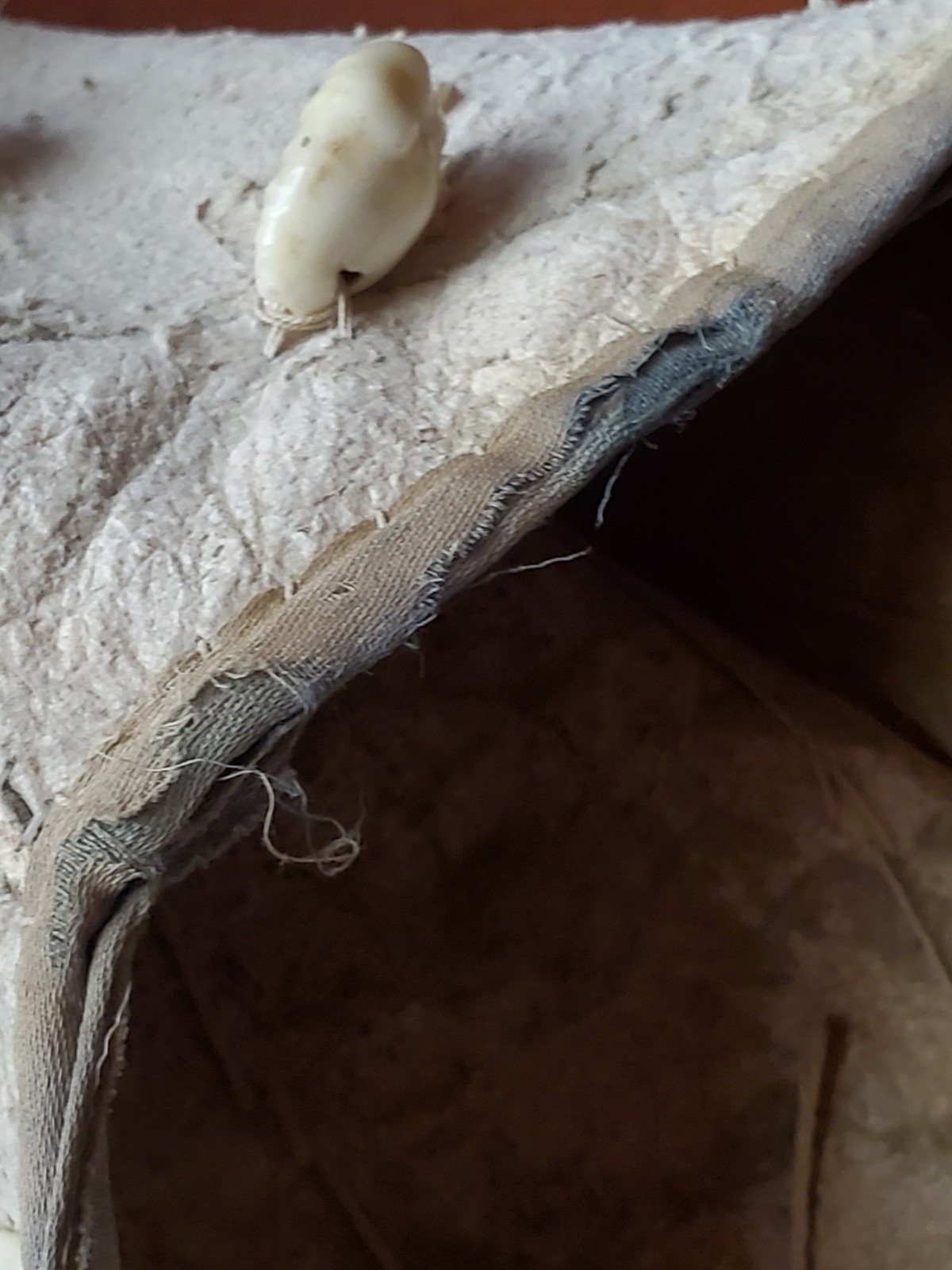 Antique OLD Native American plains Indian womans dress hide 19th c.