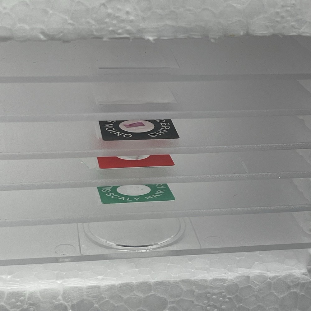 Celestron Digital Microscope Kit 600x Model 44320 USB Camera - New Open Box