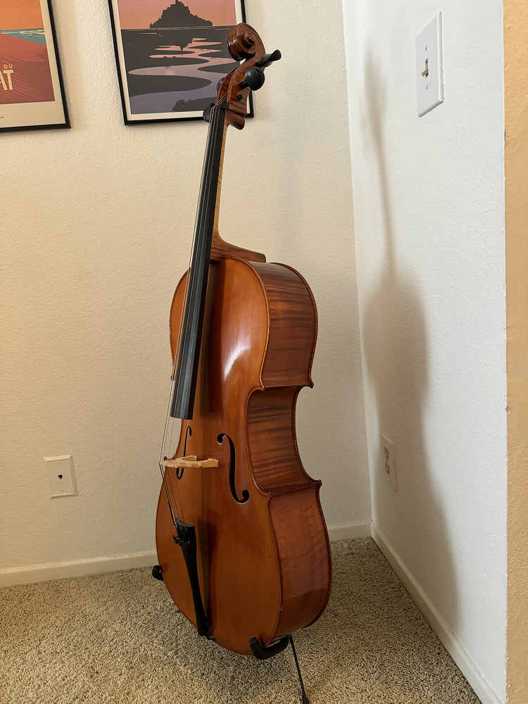 Eastman Cello 4/4, includes bow, hard case and stand, advanced