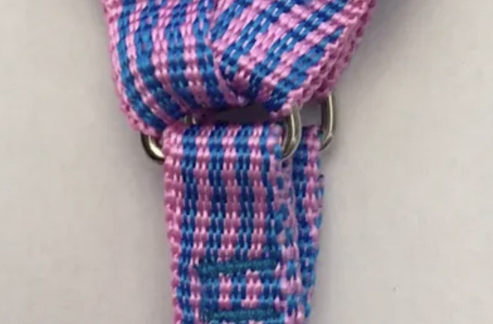 Dog Step-in Adjustable Nylon Strap Harness (Small)