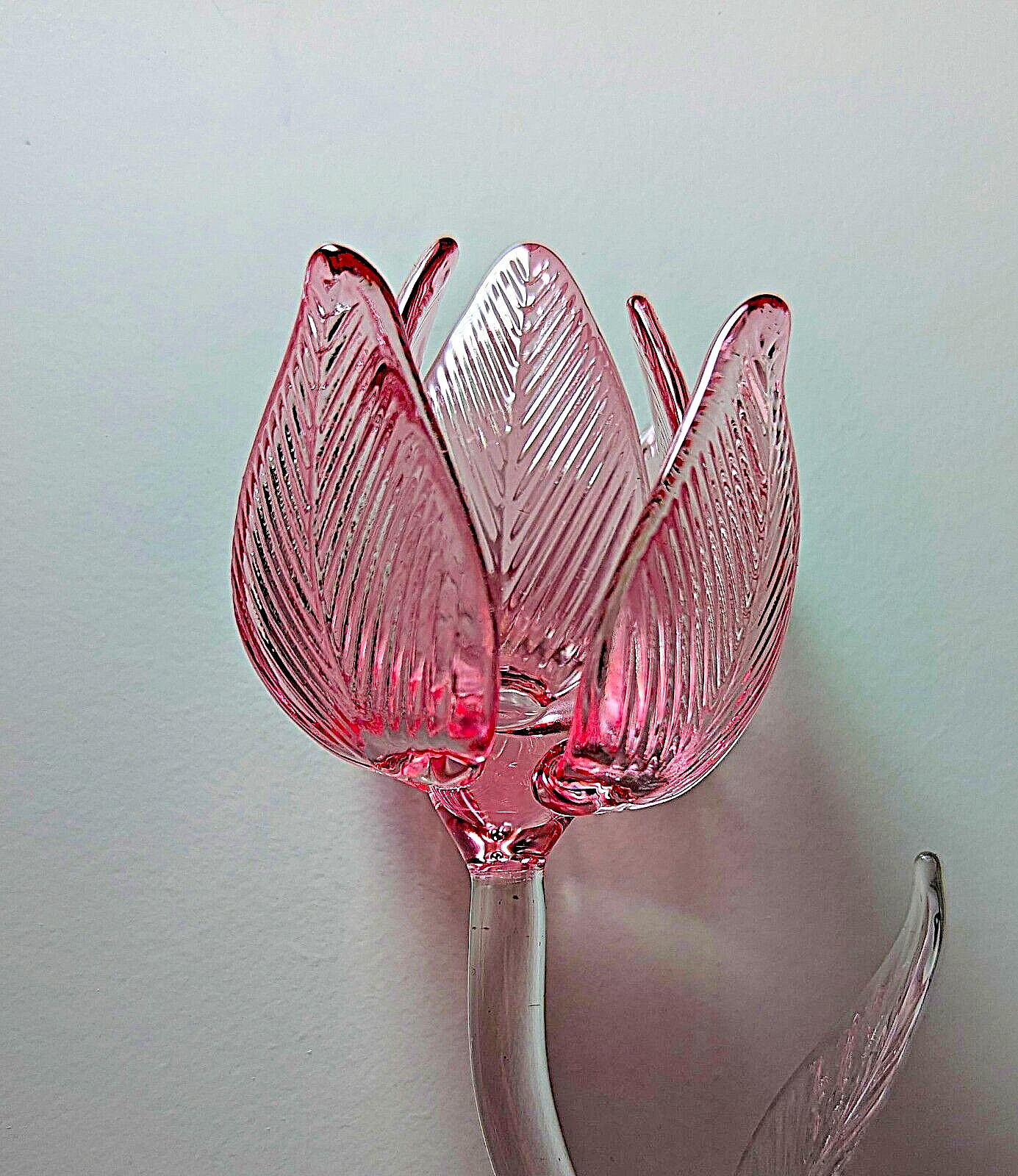 Waterford Fleurology Pink 14.5" Tulip Flower! NIB!