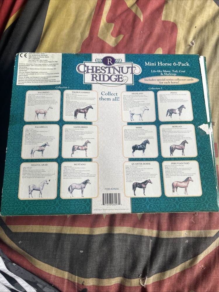 Chestnut Ridge Mini Horse Pack