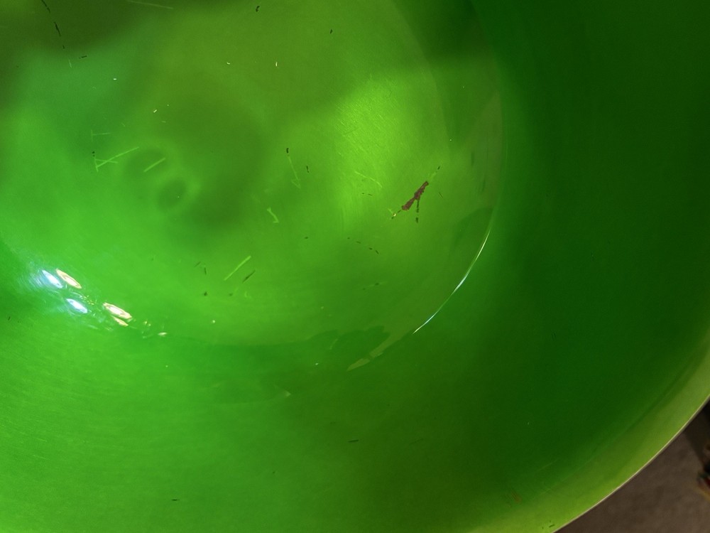 Reed & Barton 105 9” Silver Plate Enamel Green Bowl