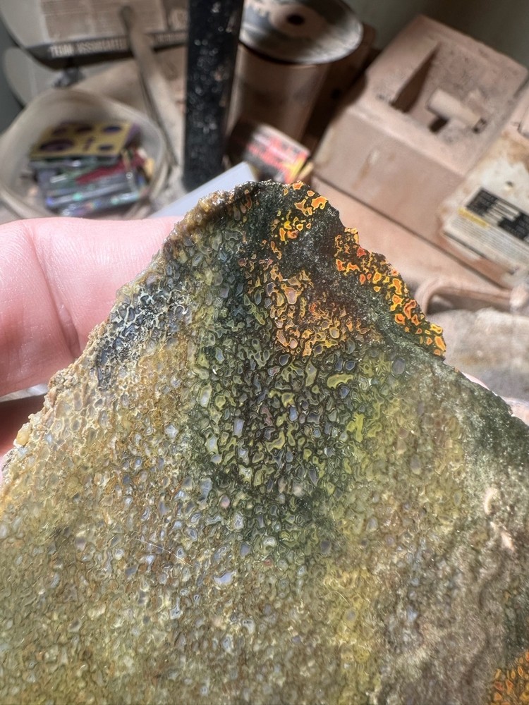 Dinosaur bone rough **hxtled slab.