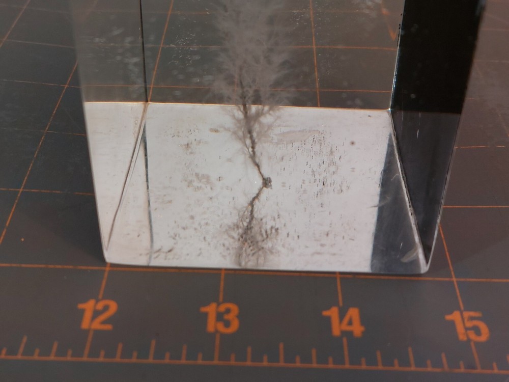 Captured Lightning Lichtenberg Figure Electron Tree Paperweight