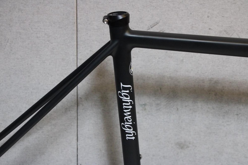 Lightweight URGESTALT Disc Carbon Frame 51 (2018)