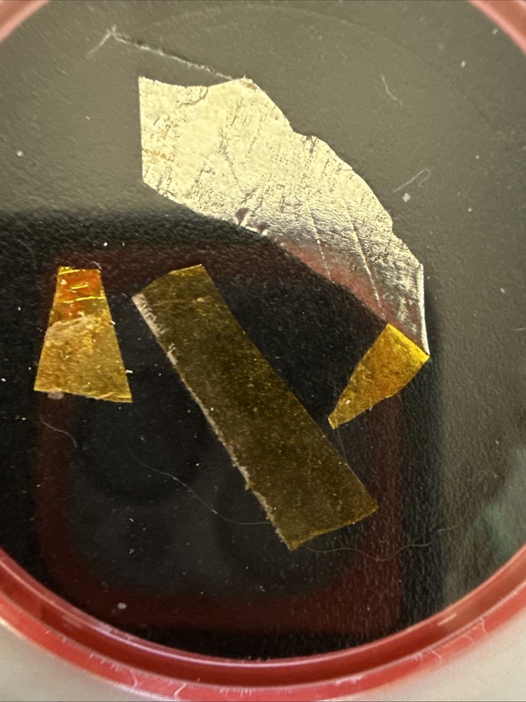 NASA Apollo 11 Command Module Columbia Flown Kapton Foil