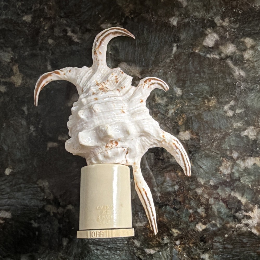 Spyder Conch Shell Night Light Wall Outlet Nautical Beach Decor