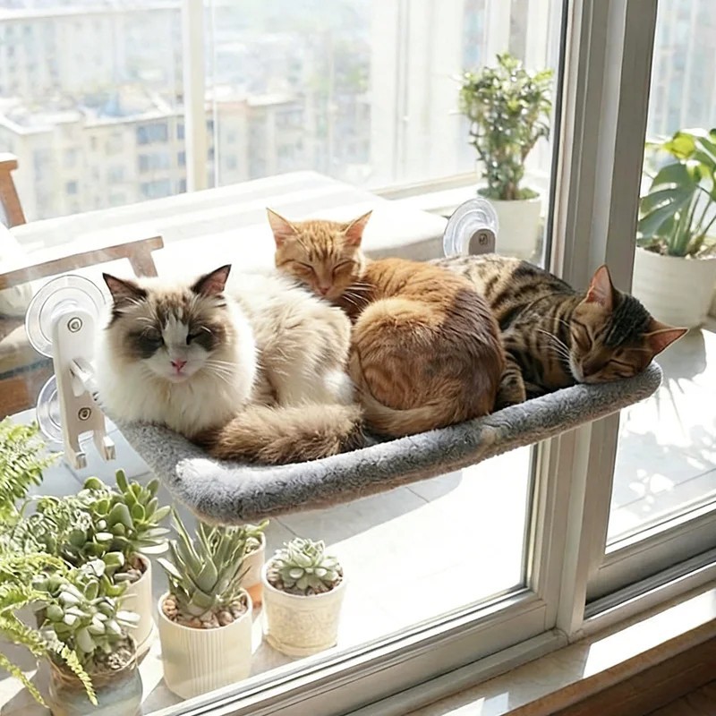 Cat Window Perch Cordless Foldable Pet Hammock Bed Glow in The Dark Glowing