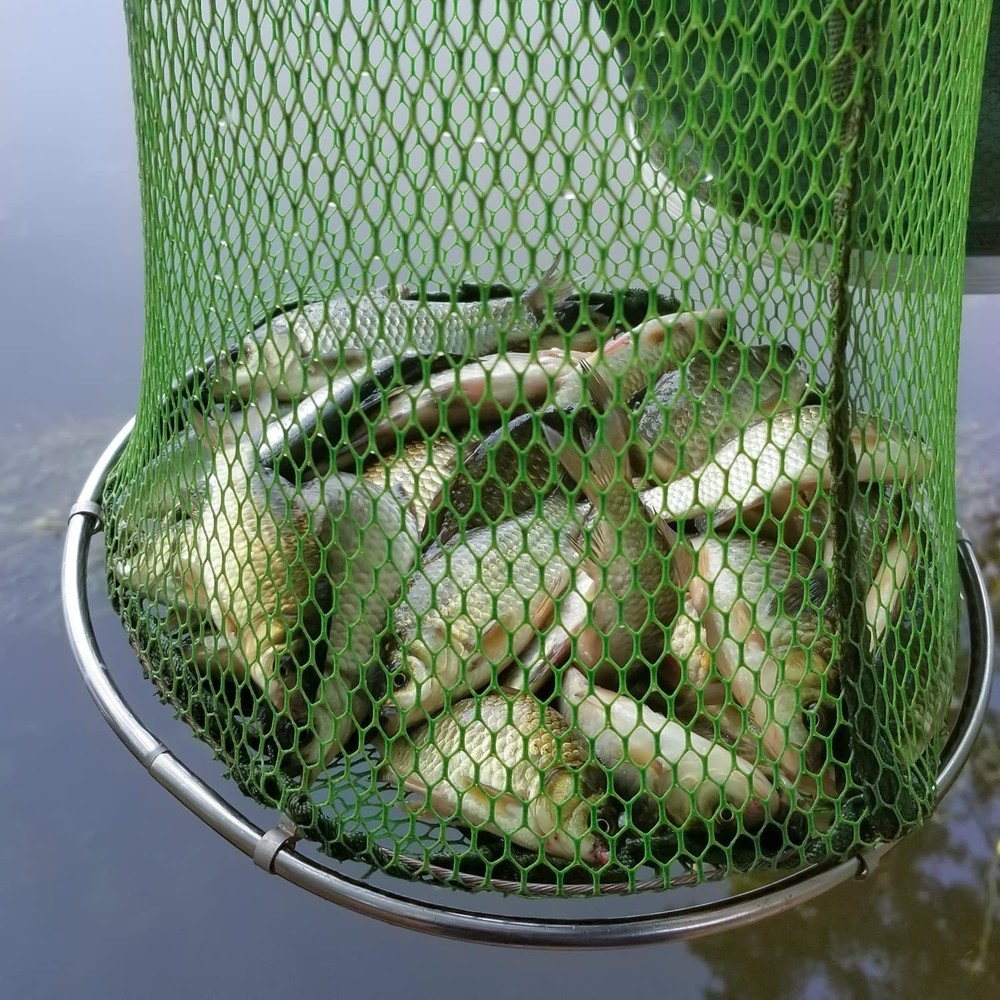 Collapsible Fish Keeping Net - Rubberized Mesh Fishing Basket - Foldable Fish...