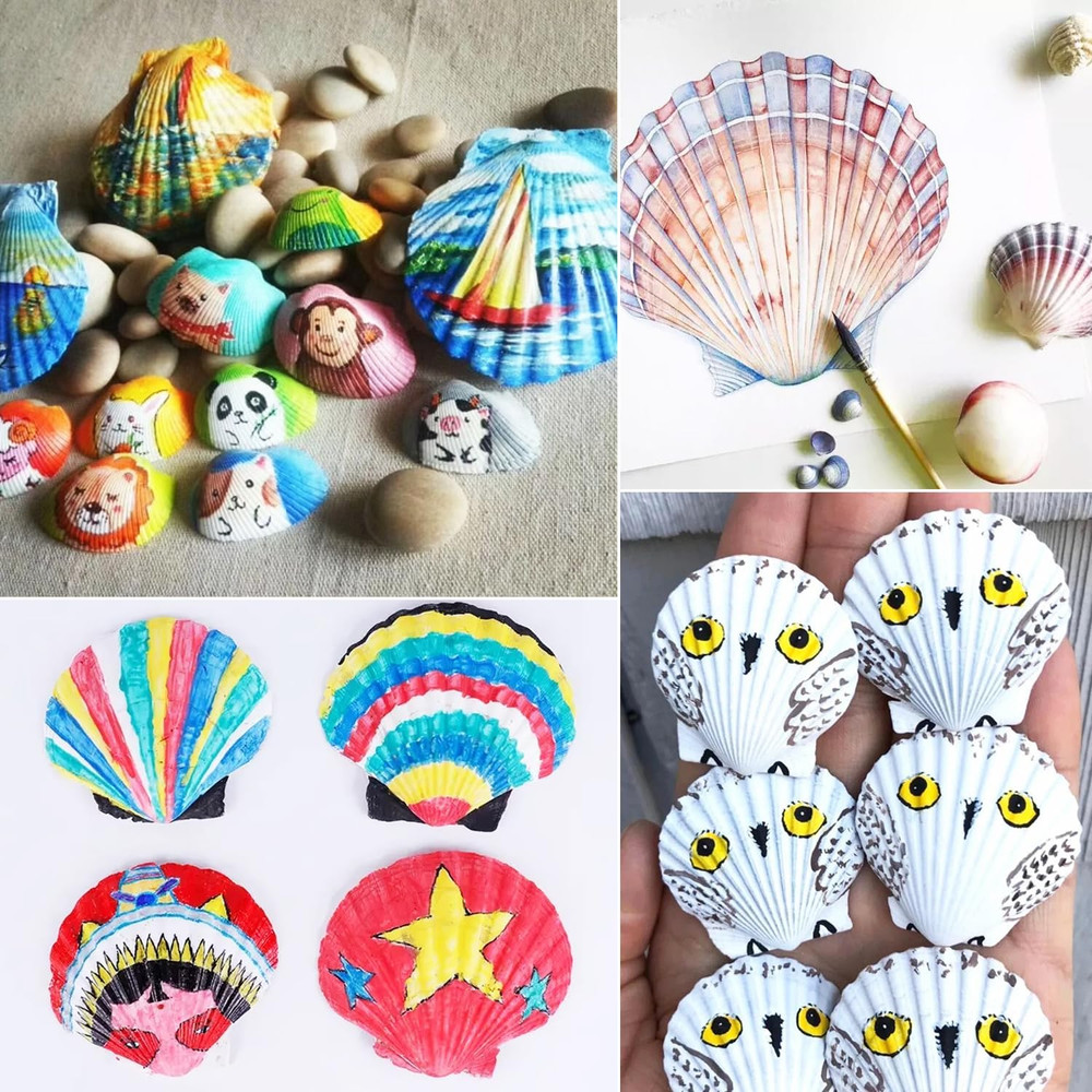 48 PCS Scallop Shells Natural Seashell 1.5" To 2" White Scallop Shells Small