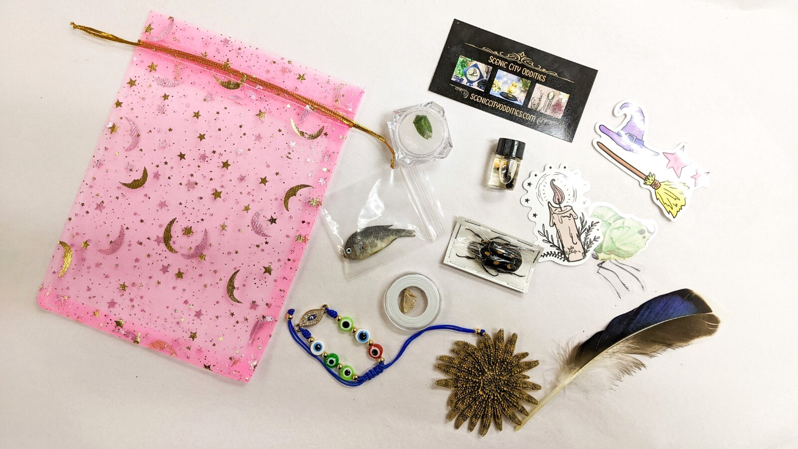 MYSTERY Lot BOX Small Curiosity or Oddity box 4 / 6 item gift surprise package