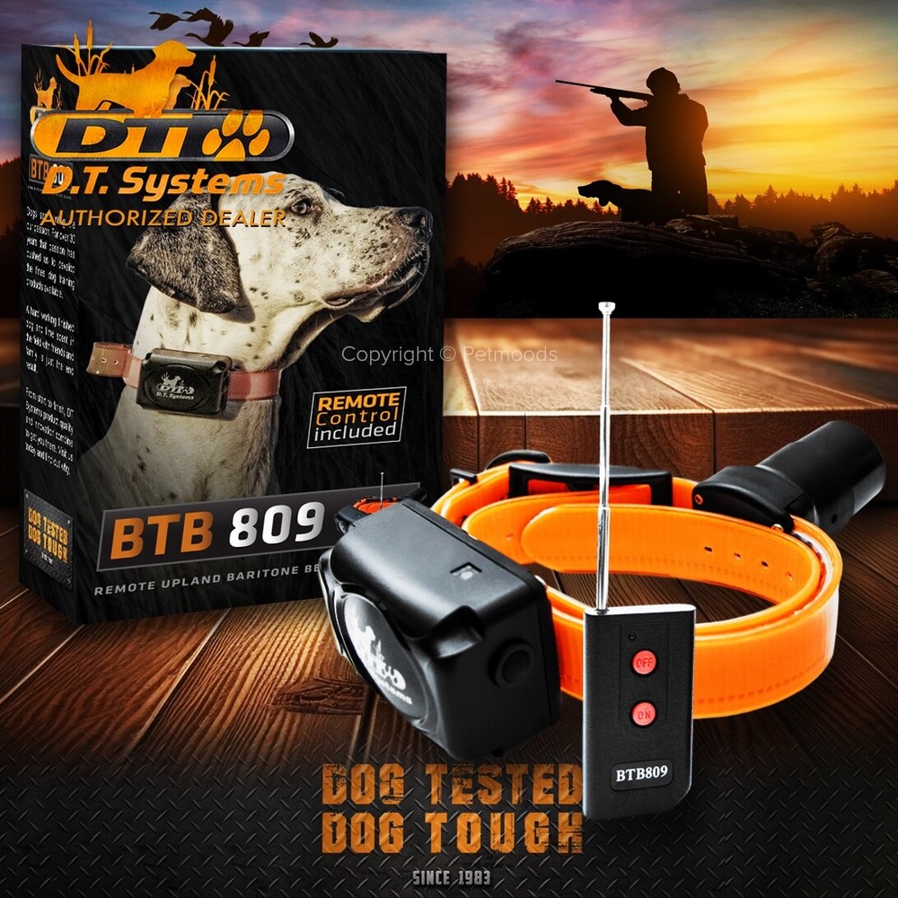 DT Systems BTB-809 Single Beep Baritone Dog Beeper Collar with Remote Control