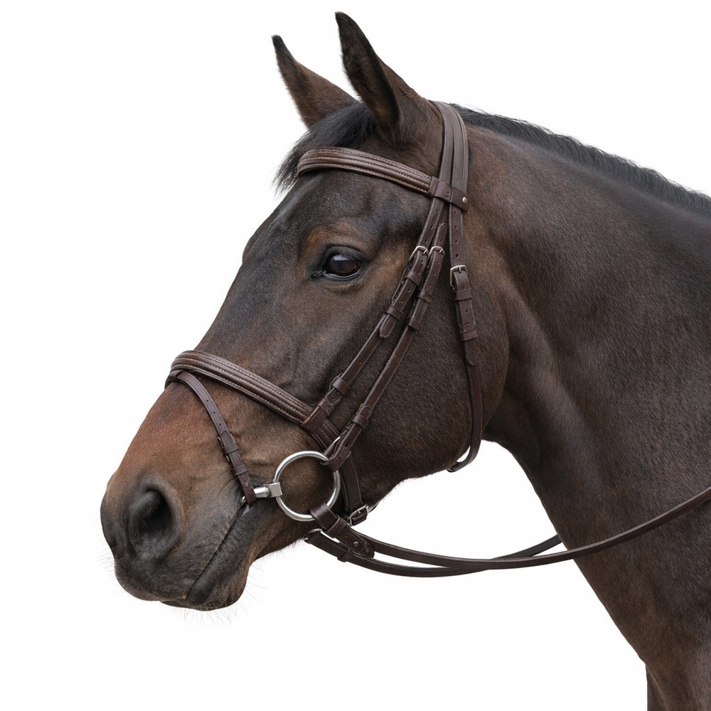 Horse Snaffle Bit with 5-1/4" Snaffle and 2-1/2" Ring 3513