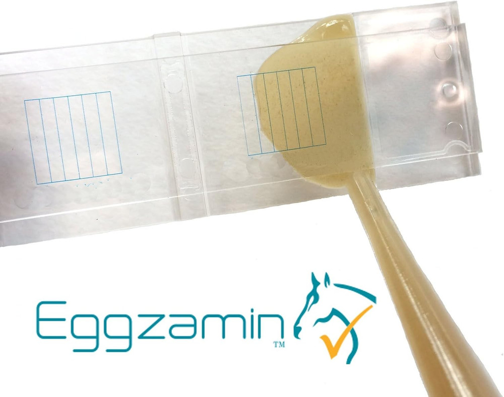 Mcmaster Method Microscope Slide - FEC (Fecal Egg Count) or Worm Count, Double C