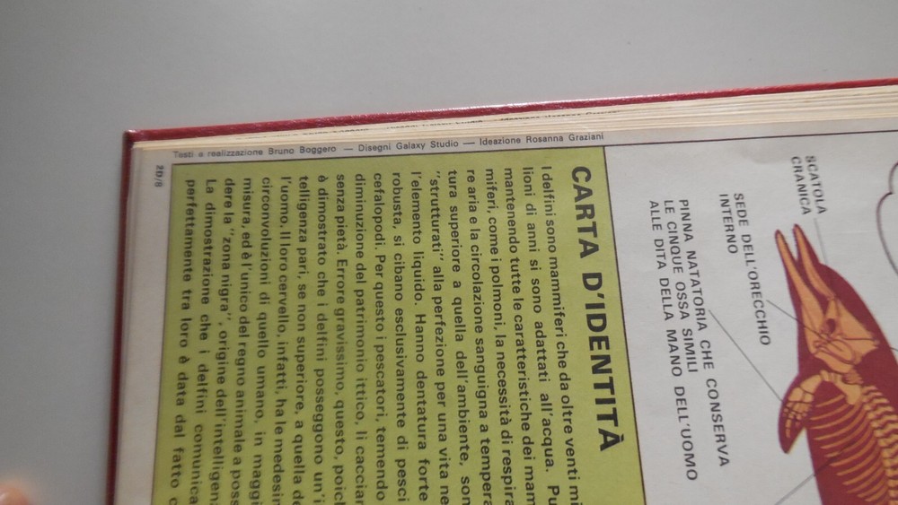 BOUND VOLUME comics RESEARCH GALAXY STUDIO ROSSANA GRAZIANI