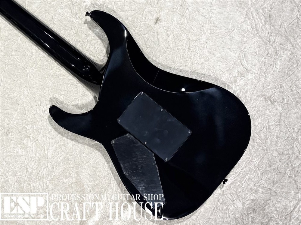 E-II HORIZON SGZ Custom Black