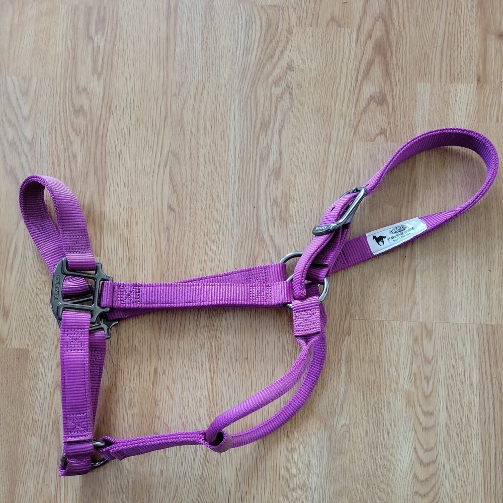 5 New Various Brand Halters