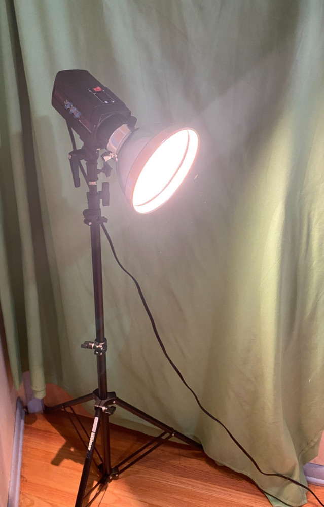 Britek PS-300 PRO STUDIO FLASH LIGHT