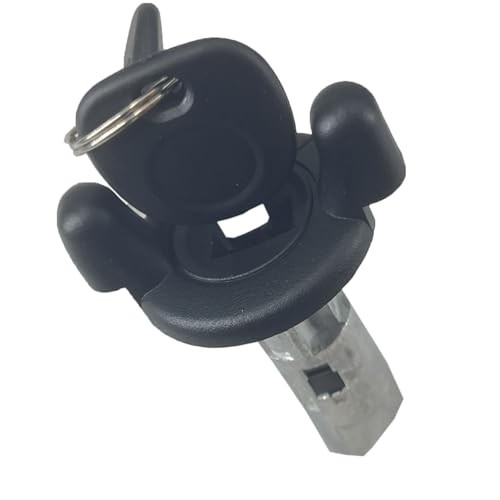 DEVMO Ignition Switch Lock Cylinder and Door Lock Cylinders Key Kit Compatible