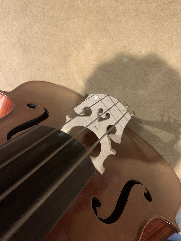 Canzona strings Cello Full Size 4/4