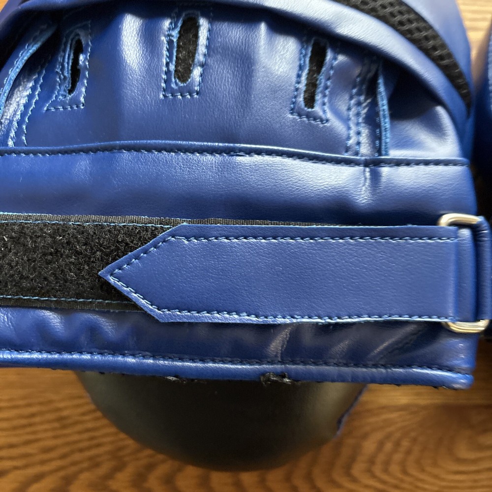 Focus Mitts