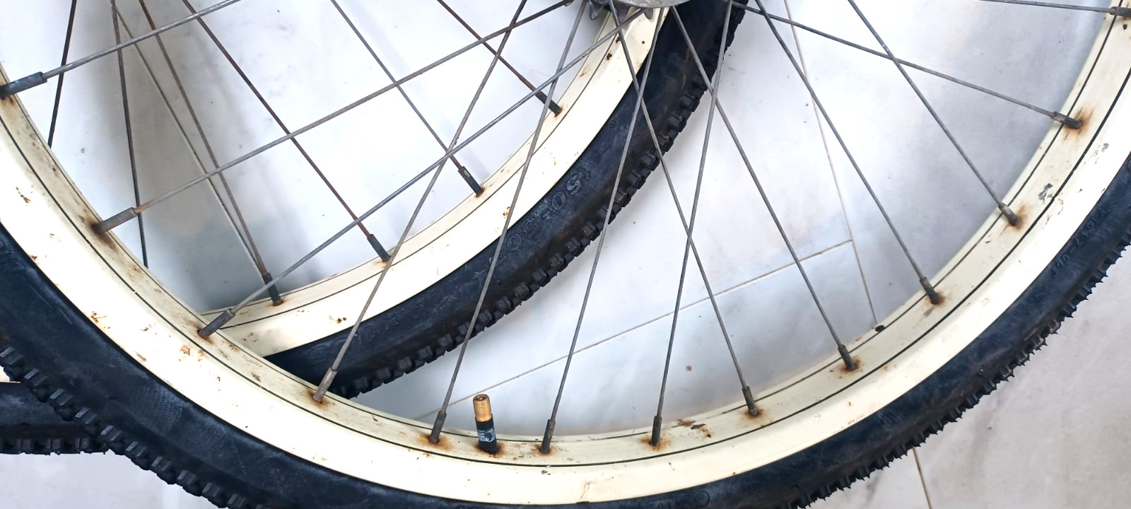 SWEET, 24x2.125" Nice pair Schwinn, S-2 Balloon Enameled Wheels 1950/60s bicycle