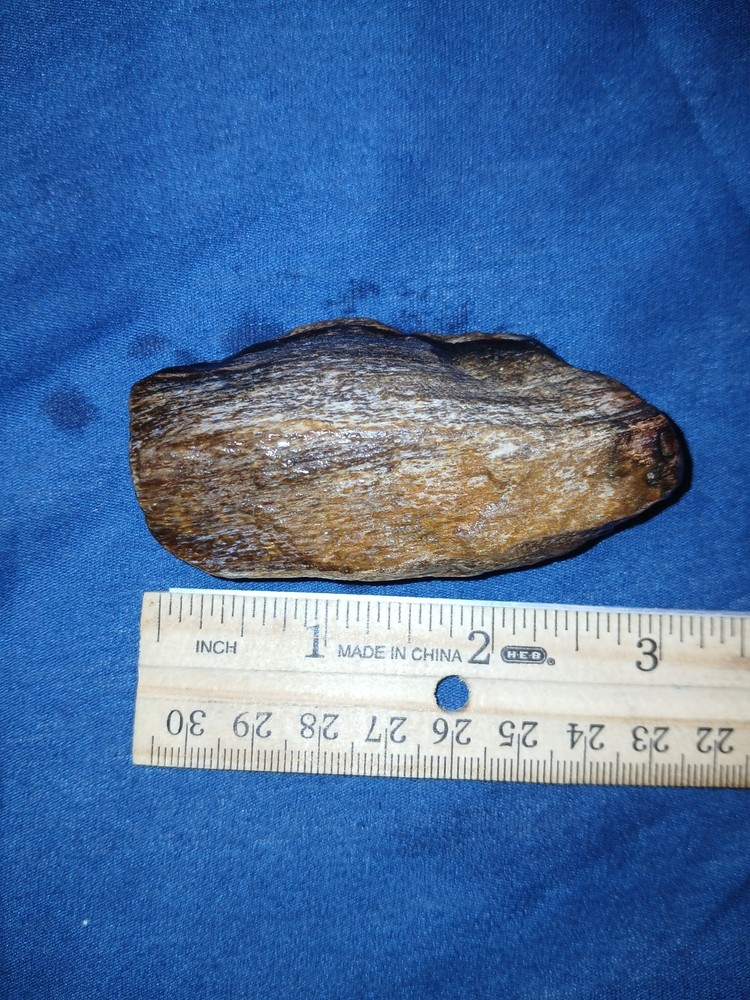 3 oz Agatized Petrified Wood