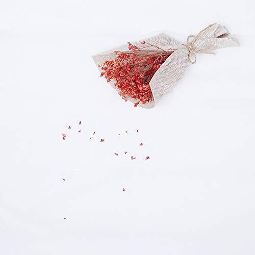 5x7ft [Backdrop] White Screen Key Soft Pure White Studio White screen key