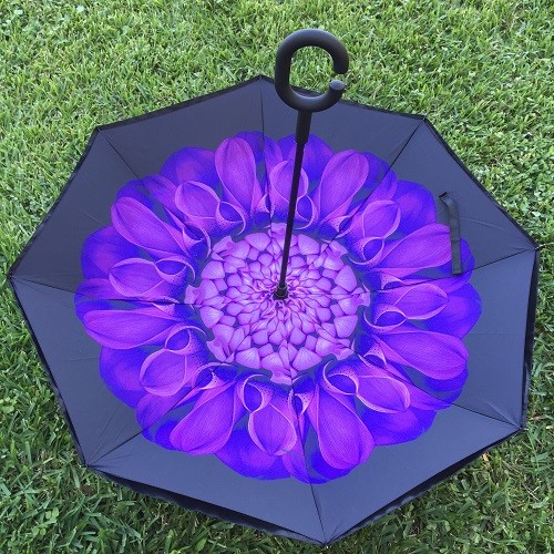 Reverse Opening Inverted Inside-Out/Upside Down/ C-Handle Umbrella Sale