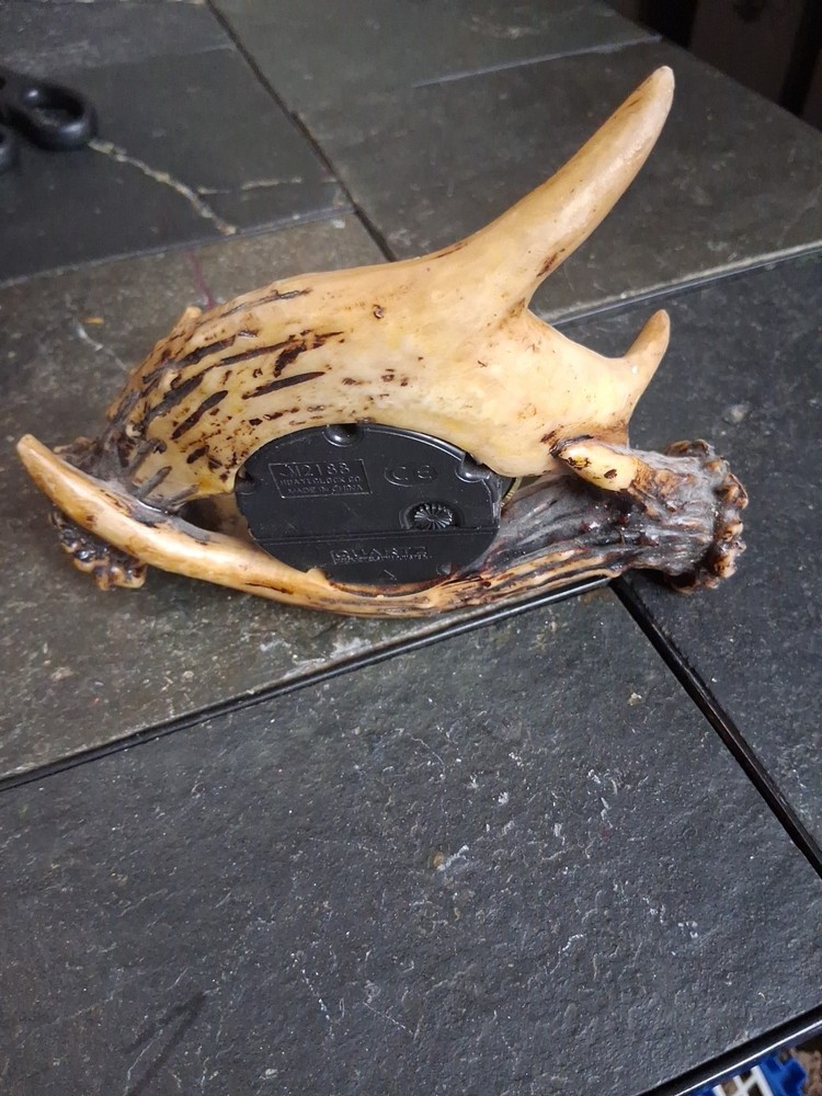 Deer Antler Quartz Clock