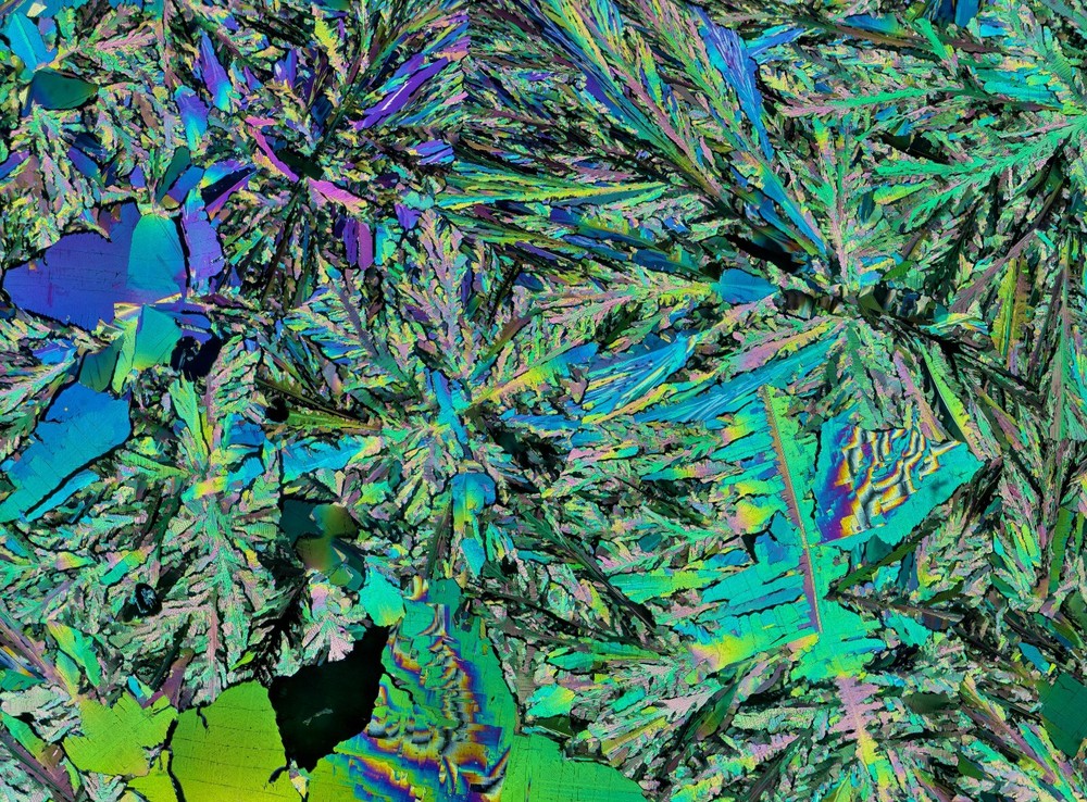 Microscope slide for polarization, Ethyl 4-hydroxybenzoate