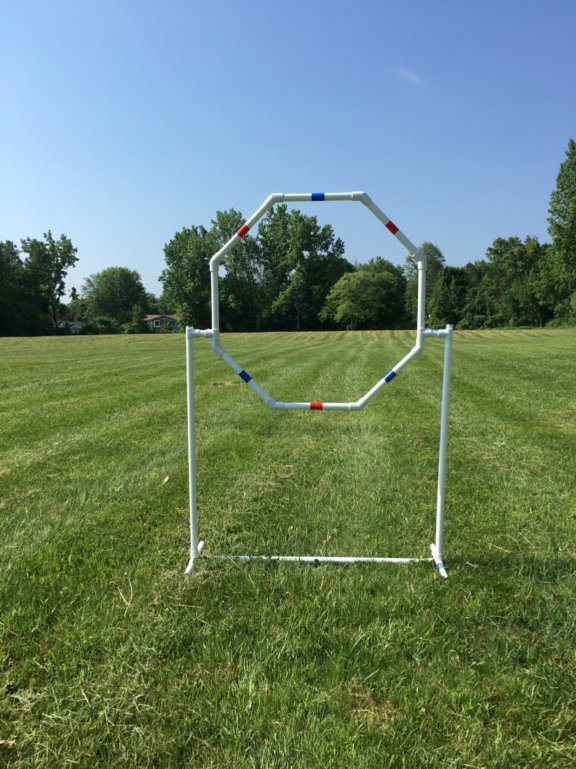 Dog Agility Equipment Premium Quality Starter Set for beginners! ⭐⭐⭐⭐⭐