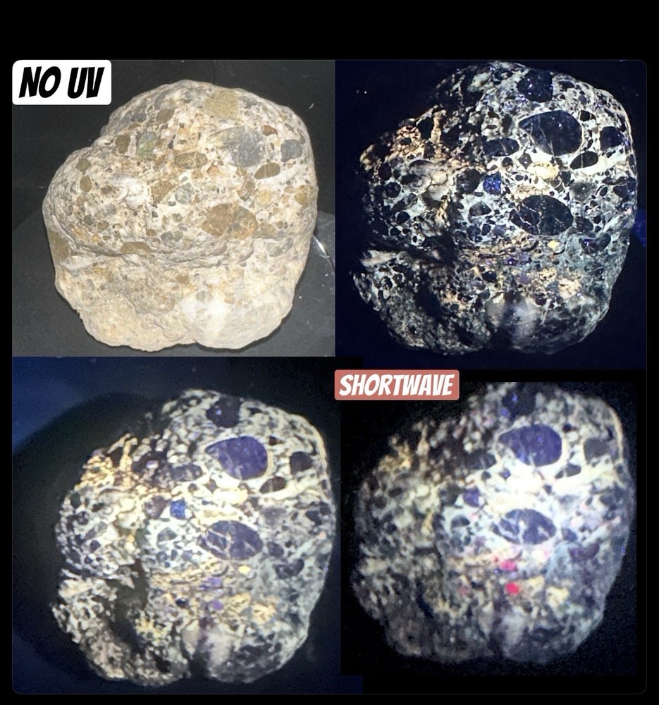 Multiwave UV 4(+) Colors Fluorescence & Phosphorescence Specimen From SB County