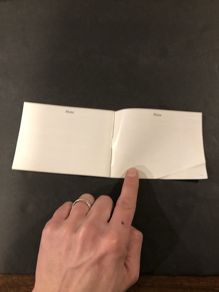 pitfall the lost expedition gba Manual only